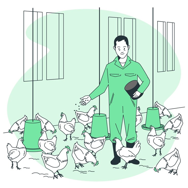 poultry-farming-about